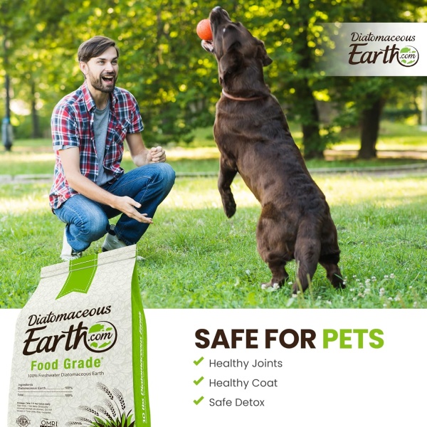 DiatomaceousEarth photo 3